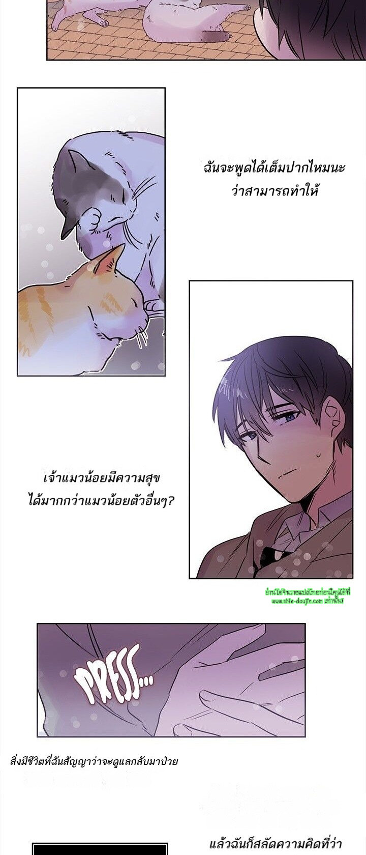 Cat in a Cardboard Box EP 8